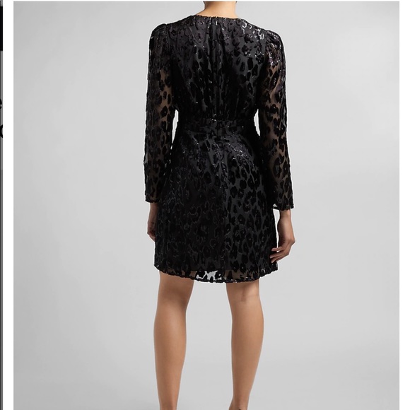 Velvet Burnout Ruffle Dress - Picture 2 of 7